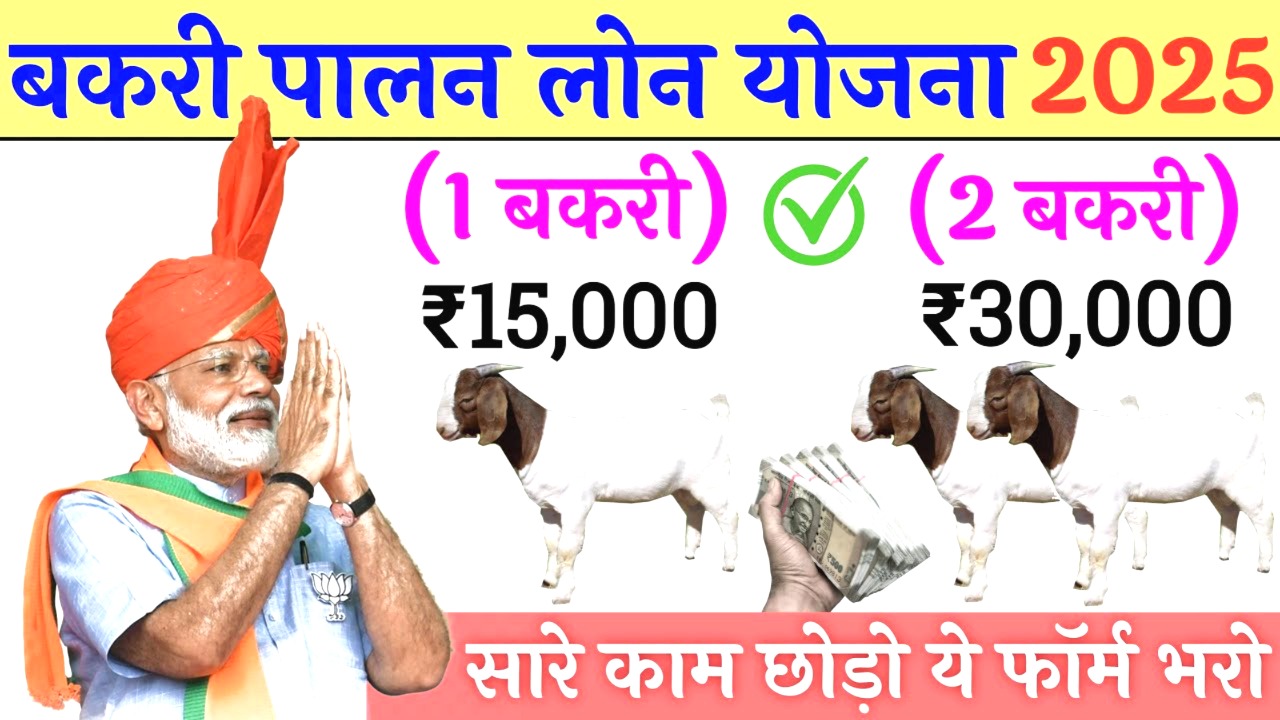 बकरी पालन लोन योजना 2025